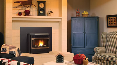 Regency Pellet Insert GF155 Regency Pellet Insert GF155